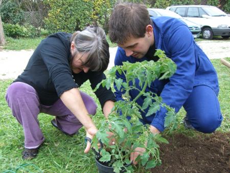 journée jardinage 